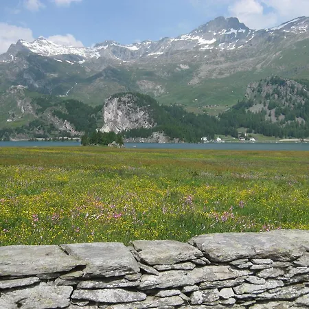 La Chesa Engiadinaisa Appartement Sils Maria